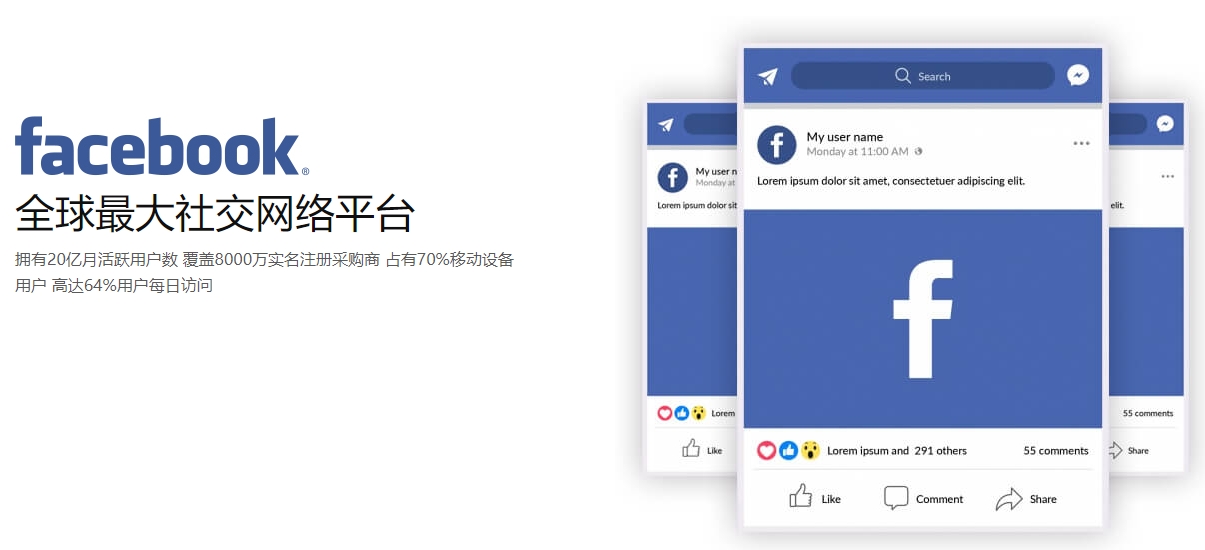 连云港海外社交媒体营销  第1张